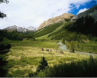 威世智与Daybreak签下协议 由后者运营《万智牌Online》